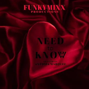 Need to Know by FunkyMixx Productions