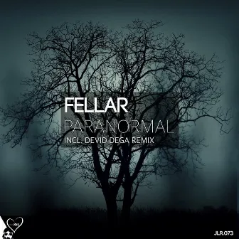 Paranormal by Fellar