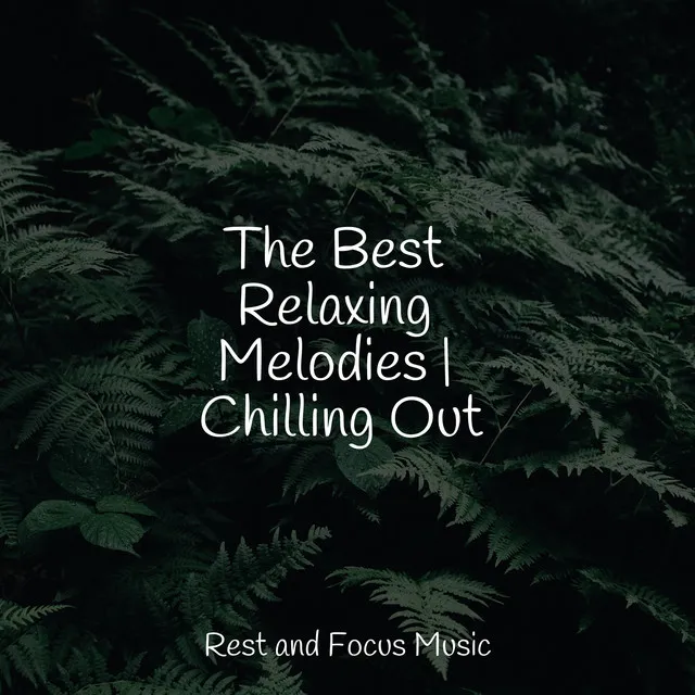 The Best Relaxing Melodies | Chilling Out