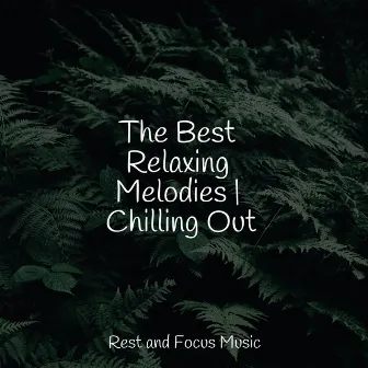 The Best Relaxing Melodies | Chilling Out by Music to Relax in Free Time