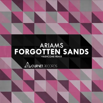 Forgotten Sands by Unknown Artist