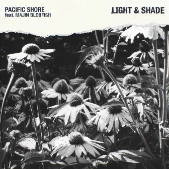 Light & Shade by Pacific Shore