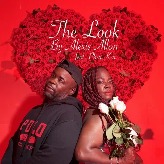 The Look by Alexis Allon