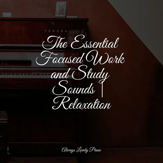 The Essential Focused Work and Study Sounds | Relaxation