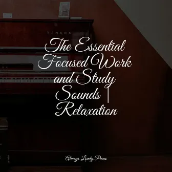 The Essential Focused Work and Study Sounds | Relaxation by Piano Music for Exam Study