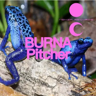 Pitcher by Burna