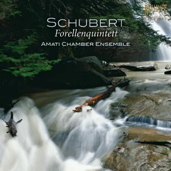 Schubert: Forellenquintett, D. 667 by Sharon Quartet