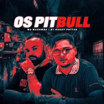 Os Pitbull by DJ HARRY POTTER