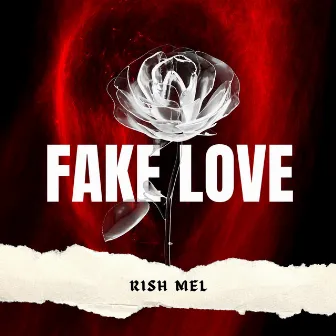 FAKE LOVE by Rish Mel