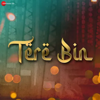 Tere Bin by Shani Arshad