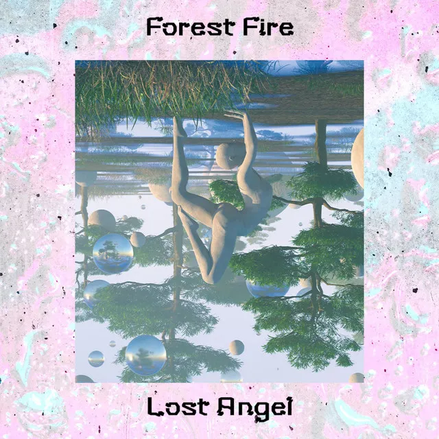 Forest Fire