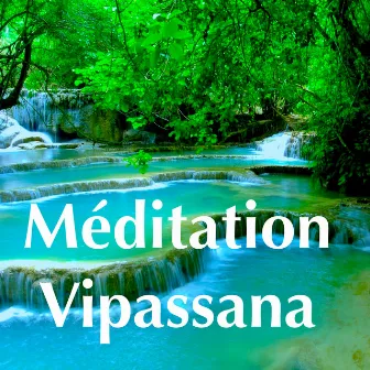 Méditation Vipassana: Nouveauté Musique de Détente pour Méditation Pleine Consciense et Sommeil Paisible by Unknown Artist