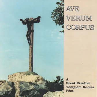 Ave Verum Corpus by A Szent Erzsébet Templom Kórusa (Pécs)