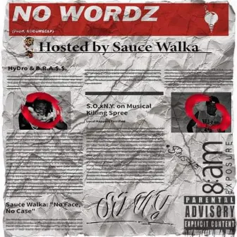 No Wordz by B.R.A.$.$.