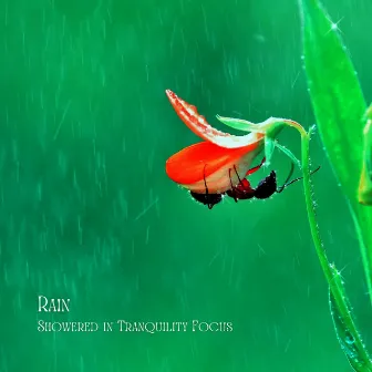 Rain: Showered in Tranquility Focus by The Sleep & Focus Group