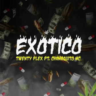 EXÓTICO by 20Flex