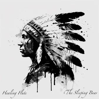 Healing Flute by The Sleeping Bear