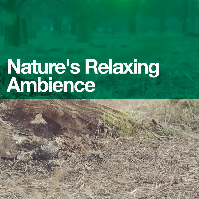 Nature's Relaxing Ambience