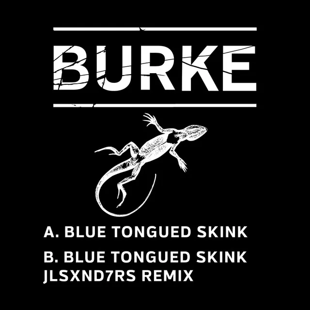 Blue Tongued Skink - JLSXND7RS Remix