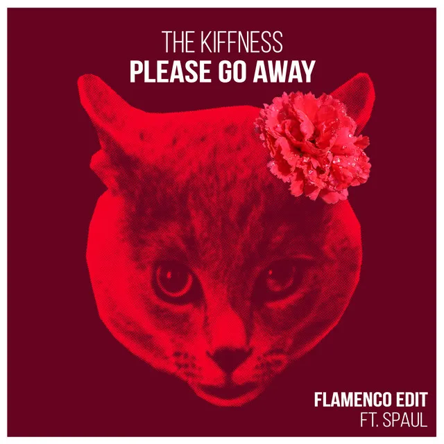 Please Go Away - Flamenco Edit