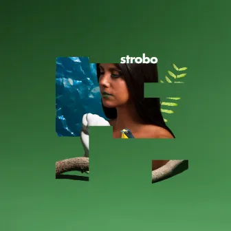 Strobo by Lila