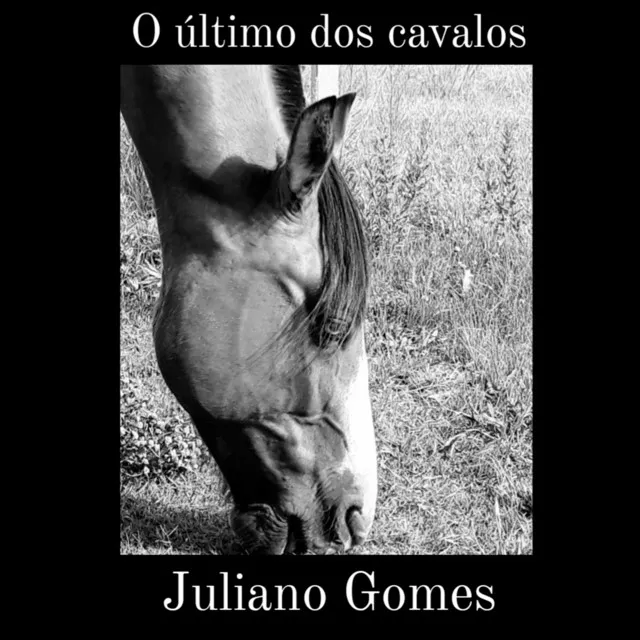 O Último dos Cavalos