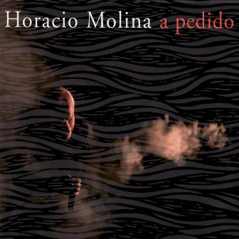 A Pedido by Horacio Molina