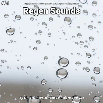 #01 Regen Sounds als Einschlafhilfe, zur Entspannung und für Zen by Regengeräusche in hoher Qualität