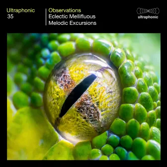 Observations (Electic Mellifluous Melodic Excursions) by Ultraphonic