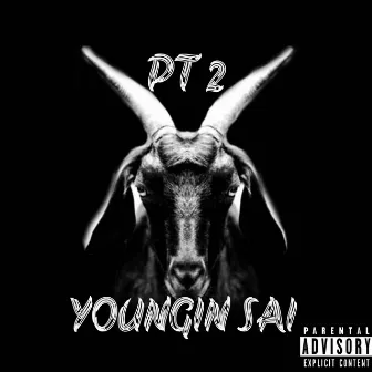 Pt. 2 by Youngin Sai