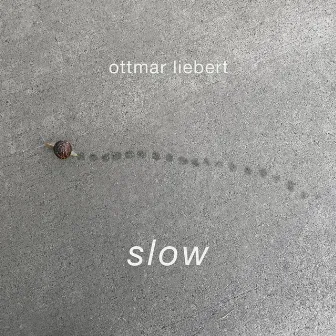 Slow by Ottmar Liebert