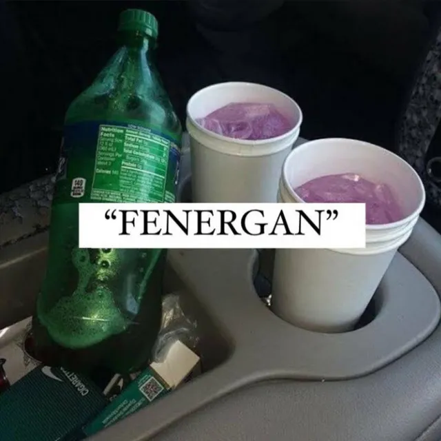 FENERGAN