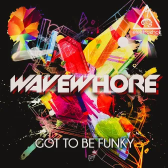 Got To Be Funky by Wavewhore