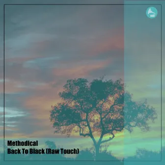 Back to Black (Raw Touch) by Methodical