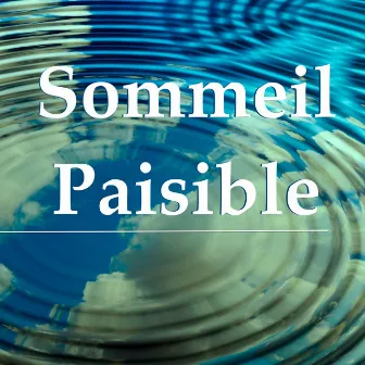 Sommeil Paisible: Musique Zen Nature pour Méditation du Jour, Sons de la Nature pour Méditation Pleine Consciense by Unknown Artist