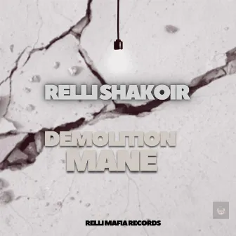 DEMOLITION MANE by Relli Shakoir