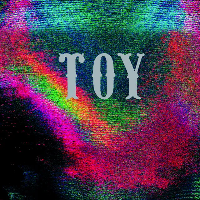 Toy