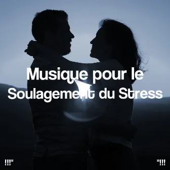 Musique pour le Soulagement du Stress by Healing Chakra Collective