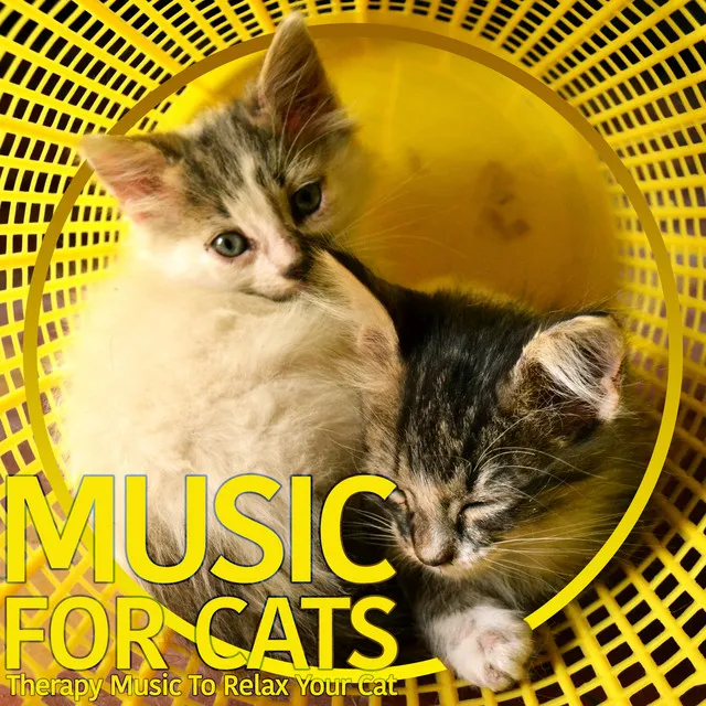 Music for Cats Peace