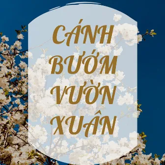 Cánh Bướm Vườn Xuân by BDMedia