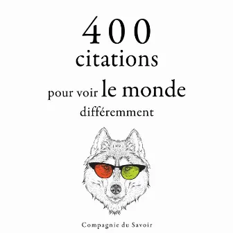 400 citations pour voir le monde différemment by Bruce Lee