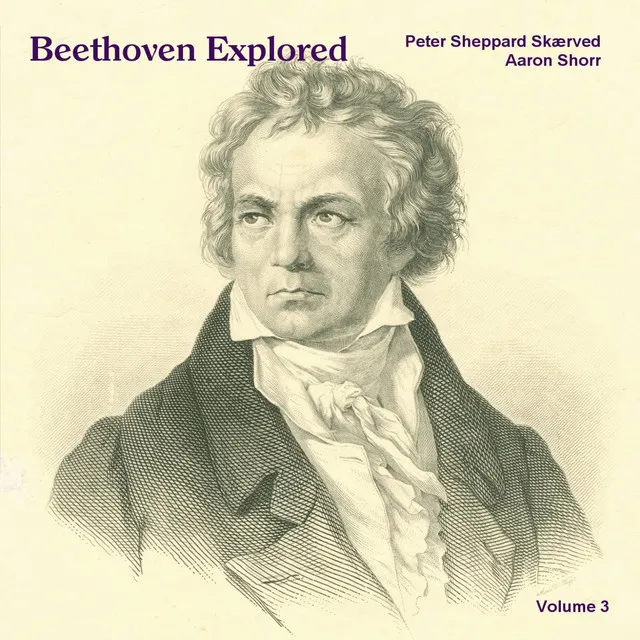 Violin Sonata No. 7 in C Minor, Op. 30, No. 2: I. Allegro con brio