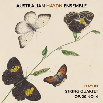 Haydn String Quartet, Op. 20, No. 4 by Australian Haydn Ensemble