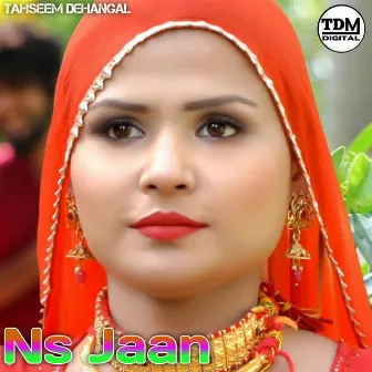 Ns Jaan by Waseem Noor