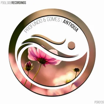 Antiqua by Profundo & Gomes