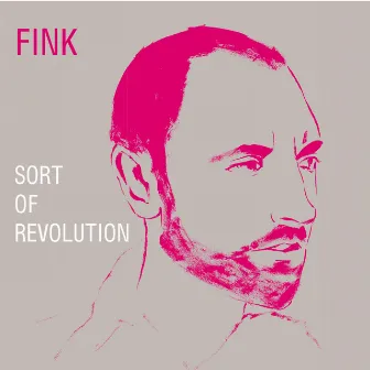 Sort of Revolution by Fink