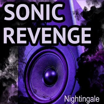 Sonic Revenge by Nightingale