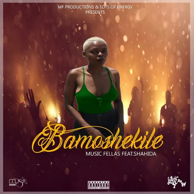 Bamoshekile