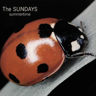 Summertime by The Sundays