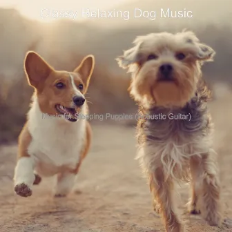 Music for Sleeping Puppies (Acoustic Guitar) by 